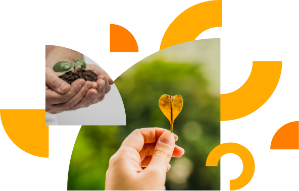 Dos cuartos de círculo. En el situado arriba a la izquierda vemos dos manos sujetando un puñado de tierra del que surge un brote verde. En el segundo, más grande, vemos una mano sujetando una hoja seca frente a un fondo de árboles desenfocados. A su alrededor hay diversas figuras geométricas circulares de color naranja